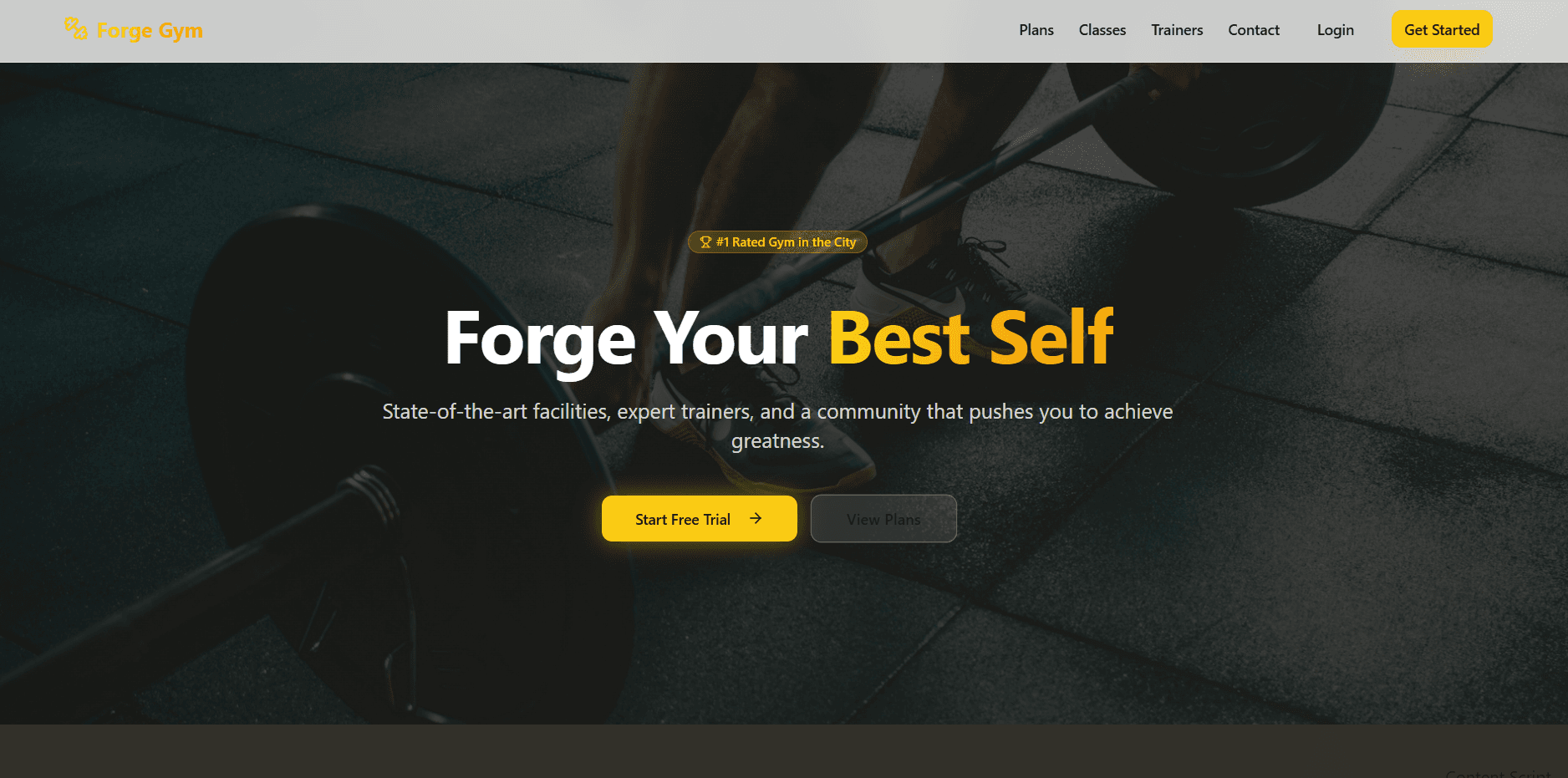 Forge Gym